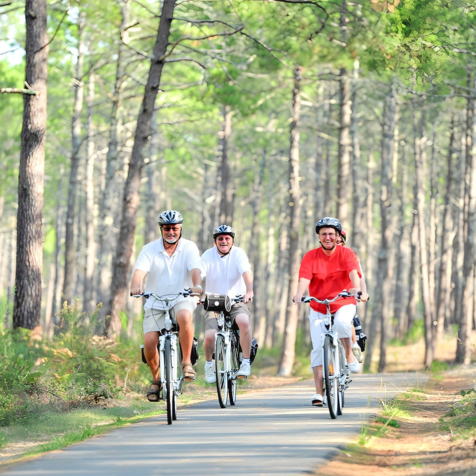 balades a velo dans la foret landaise