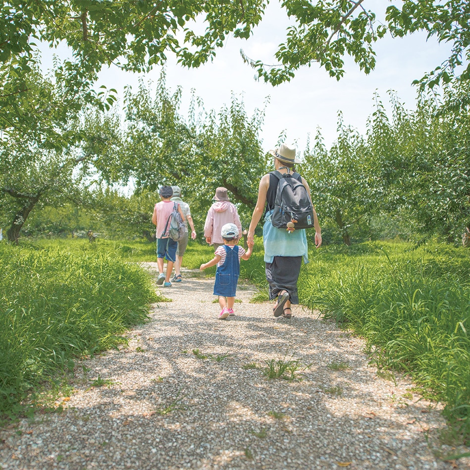 belle randonnee dans un environnement verdoyant