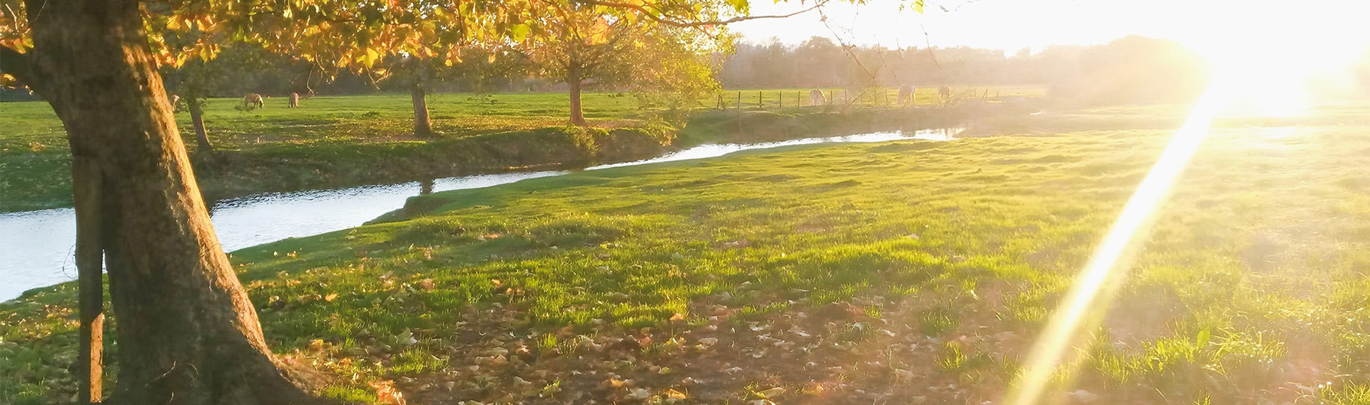 campsite jardinsdeladour saint vincent de paul privacy policy