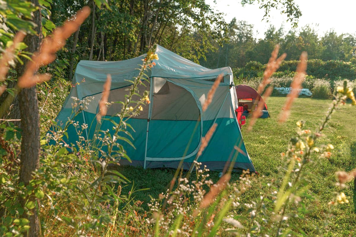 nos emplacements en location dans les landes