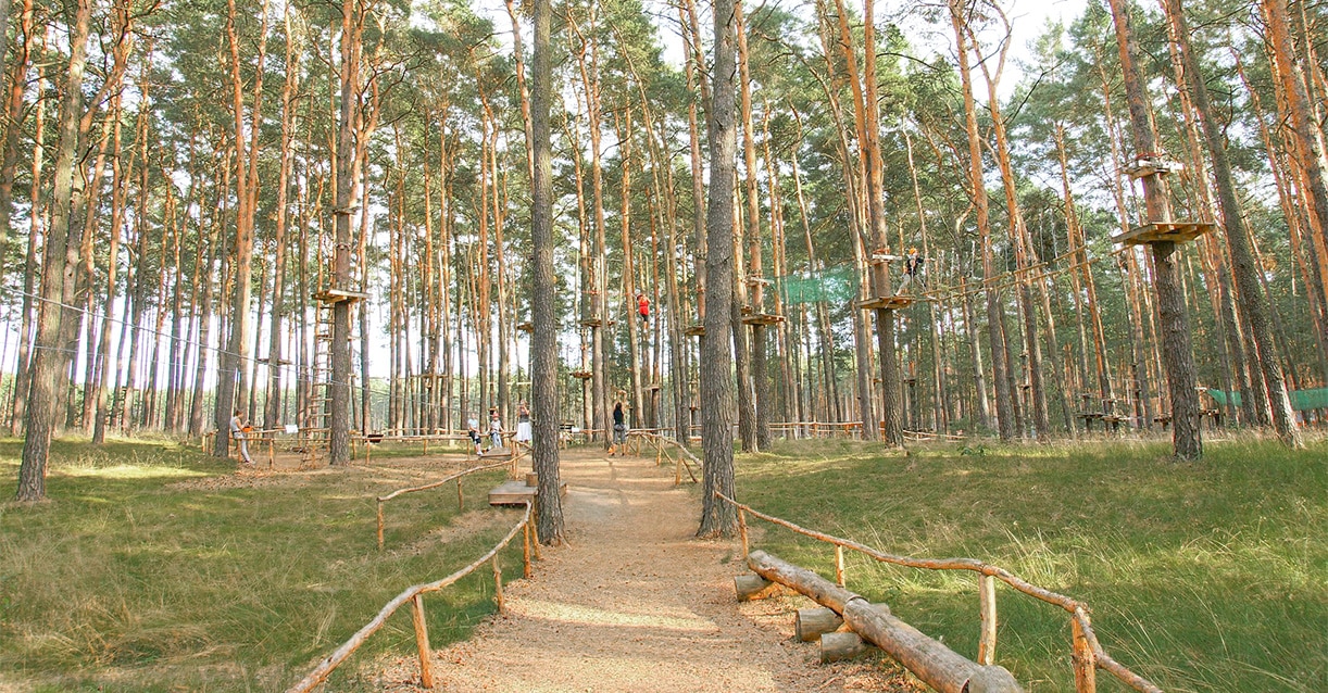 parcours d accrobranche