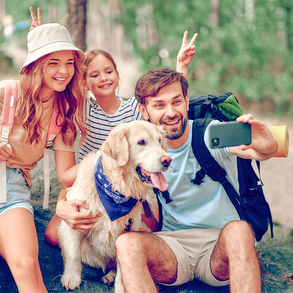 voyagez avec votre animal