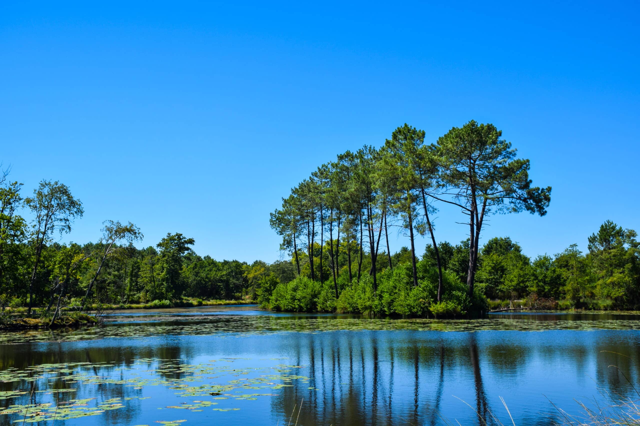 etang glaciere grand dax